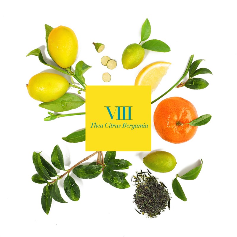 VIII THEA CITRUS Scented Candle Refill 4 wicks 1.4kg